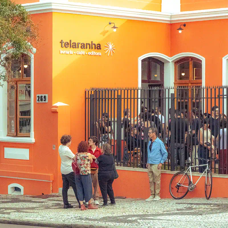 Projeto Telaranha - Duas Formigas Design