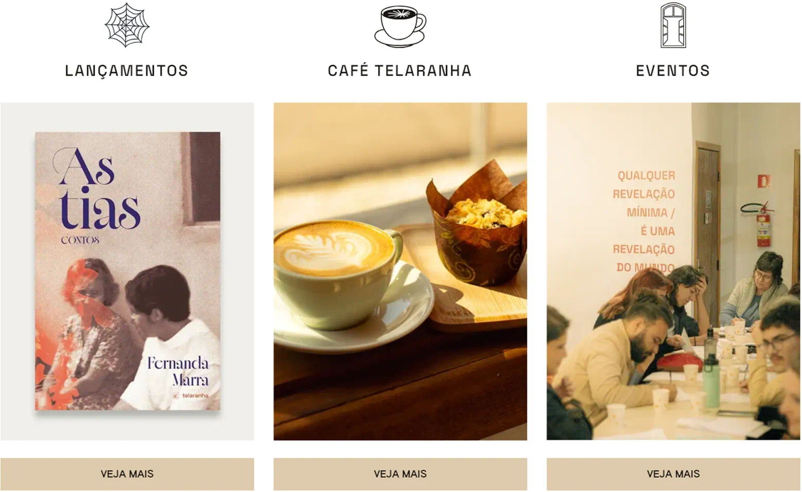 Telaranha Livraria e Editora - Duas Formigas Design