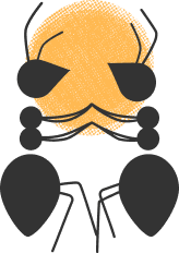 Duas Formigas Design