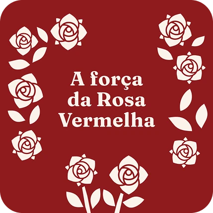 Caminho de Santa Sara Kali - posts para Instagram - álbum
